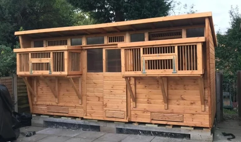 The Cornerstone of a Champion Loft: Uncompromising Quality in Pigeon Racing