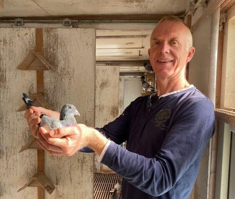 Exploring the Jelle Jellema Racing Pigeons Strain: A Comprehensive Guide