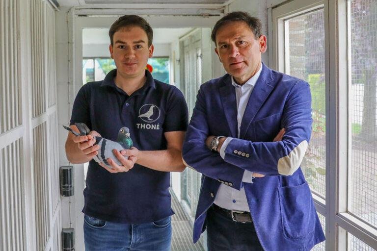 The Fascinating World of Jos Thoné Racing Pigeons