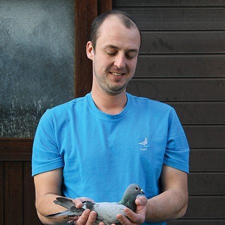 All About Bart Geerinckx Racing Pigeons: A Comprehensive Guide