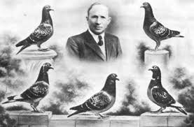 The Legacy of Desmet-Matthys: The Champion Pigeon Flyer