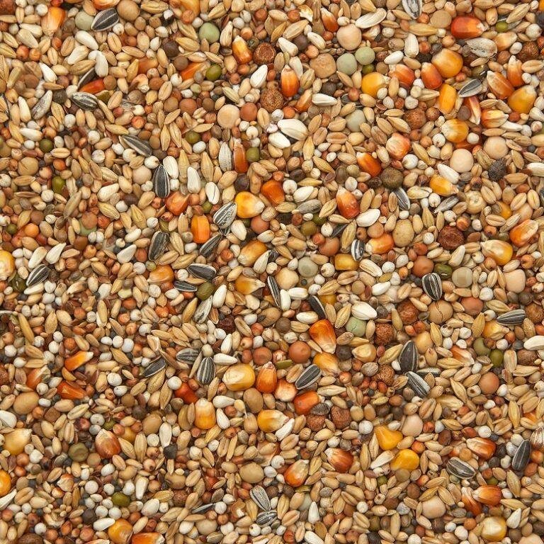 Discovering the Power of vanrobaeys  Premium Power Moulting Nr. 186: The Ultimate Moulting Mixture for Racing Pigeons